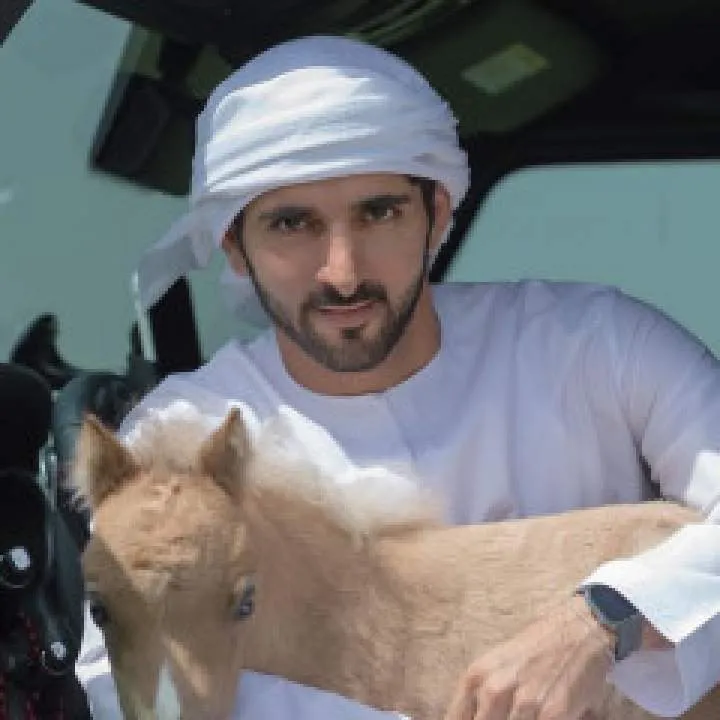 Fazza Photo On Jungo Live