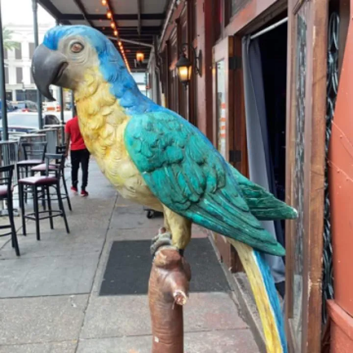 Chi-sha Photo On Jungo Live