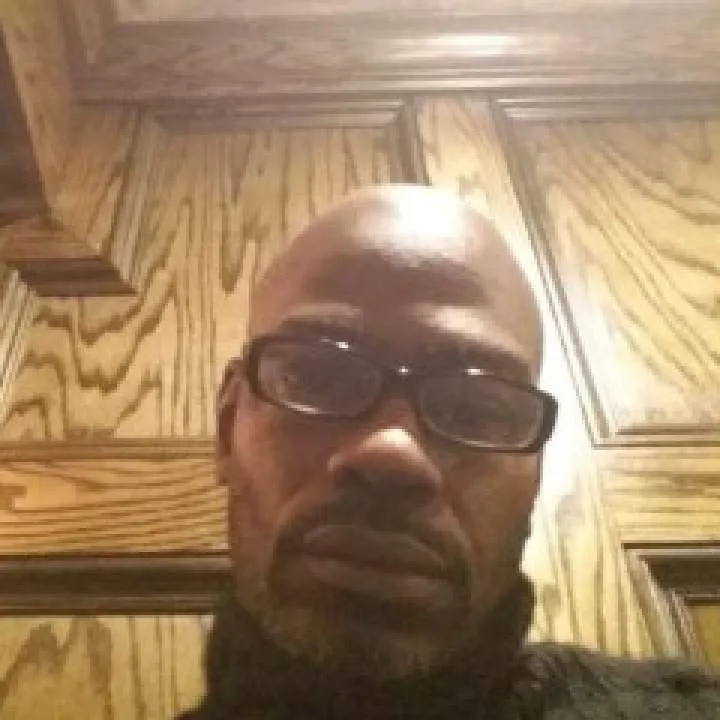 Bluejay Photo On Jungo Live