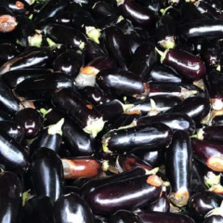 Burak Photo On Jungo Live