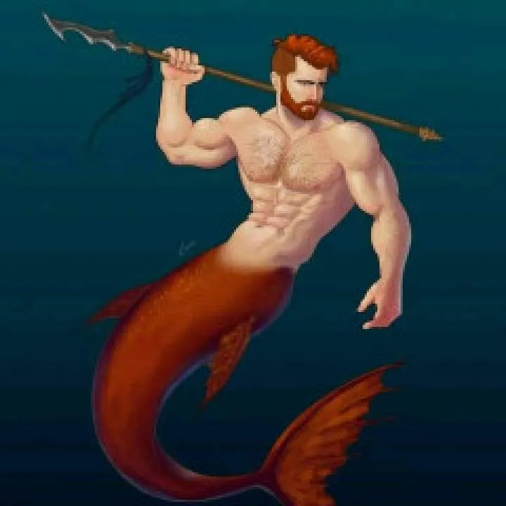 Timor Photo On Jungo Live