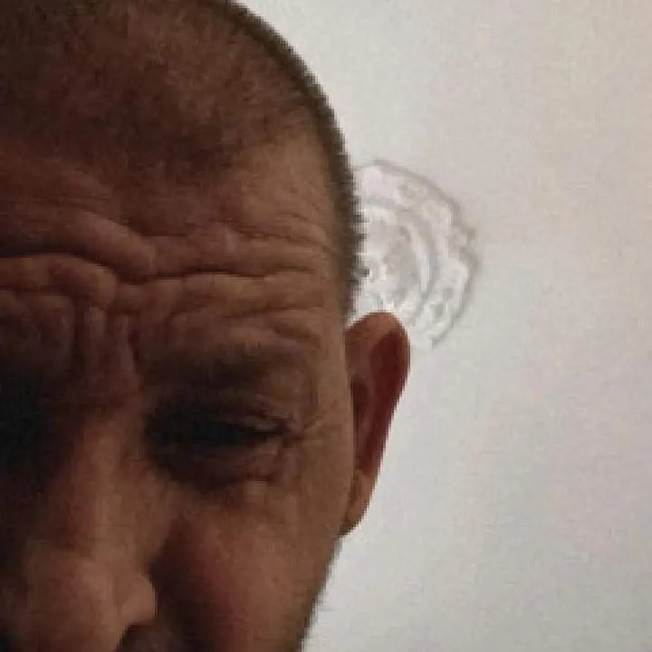 Kamel Algérien Photo On Jungo Live