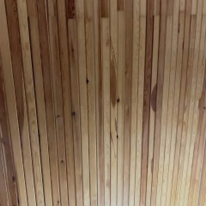 Okan Photo On Jungo Live