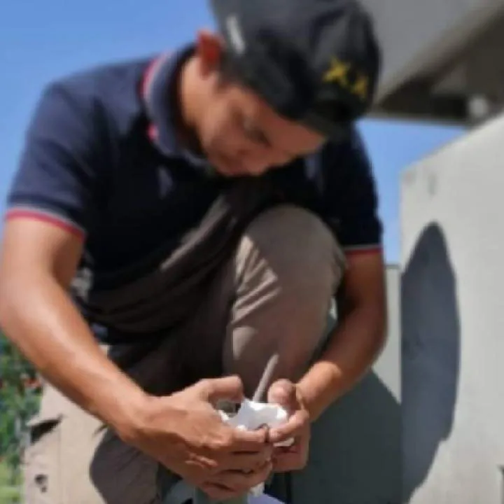 Mp21 Photo On Jungo Live