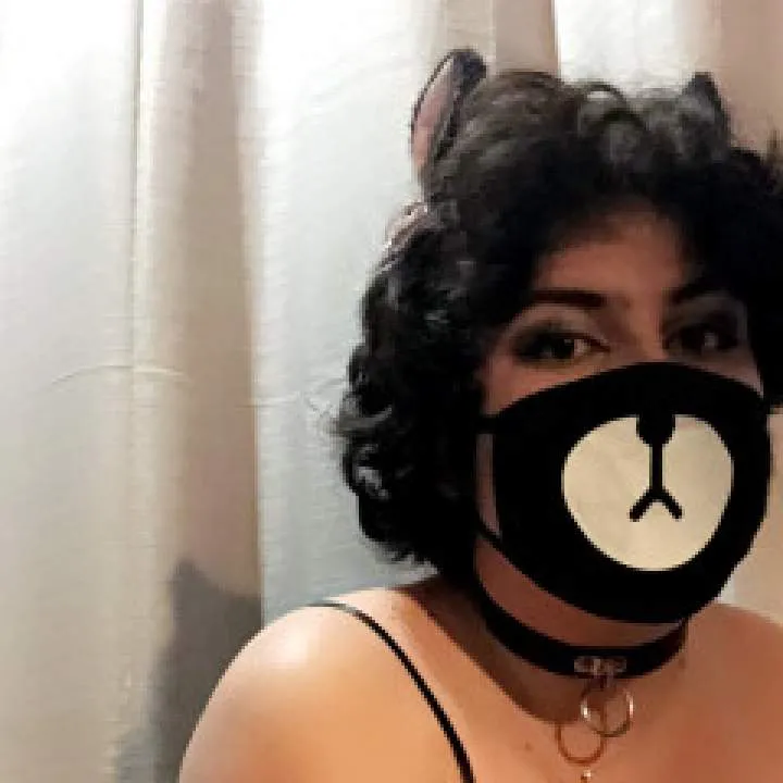 Puppy Photo On Jungo Live