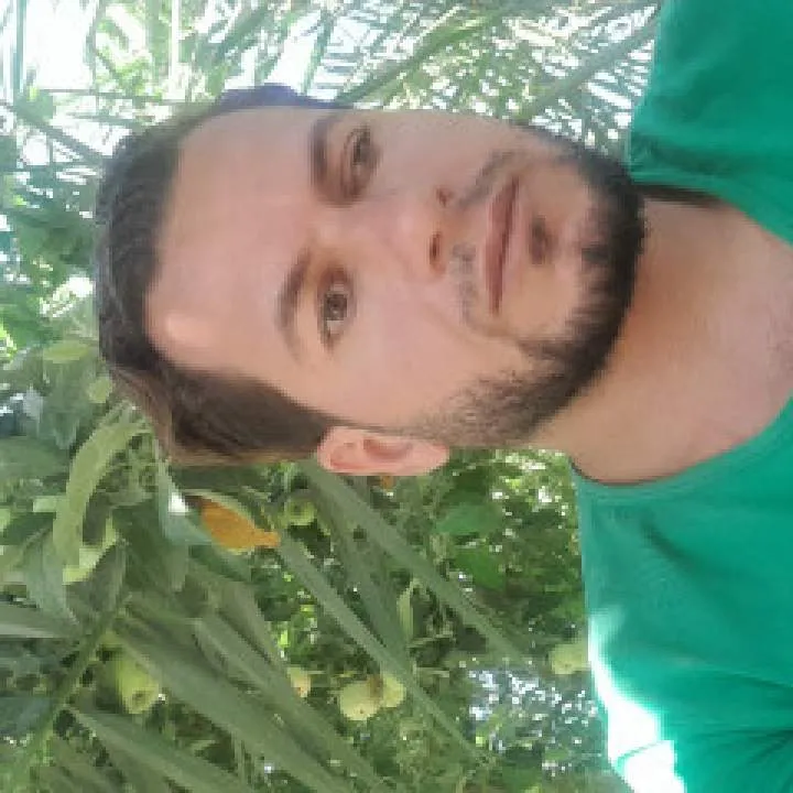 Kingdom Photo On Jungo Live