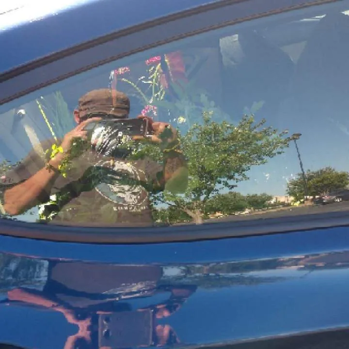 Zorroandcaroline Photo On Jungo Live