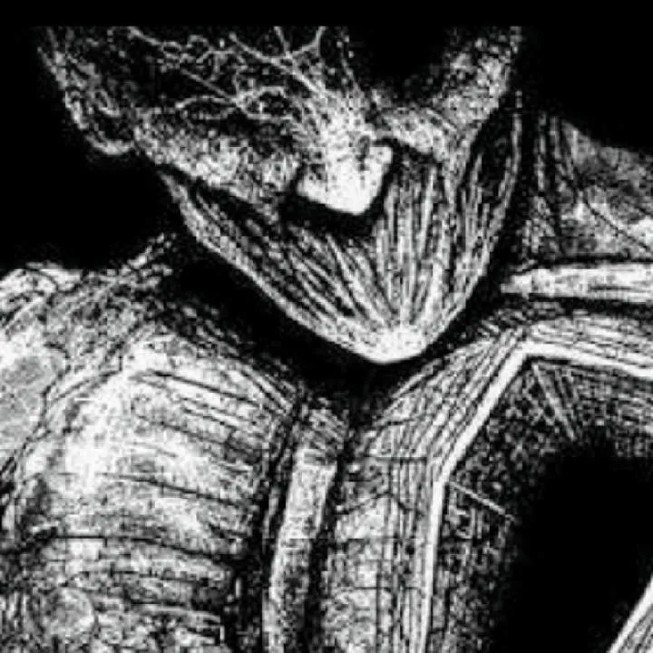 Domrwp Photo On Jungo Live