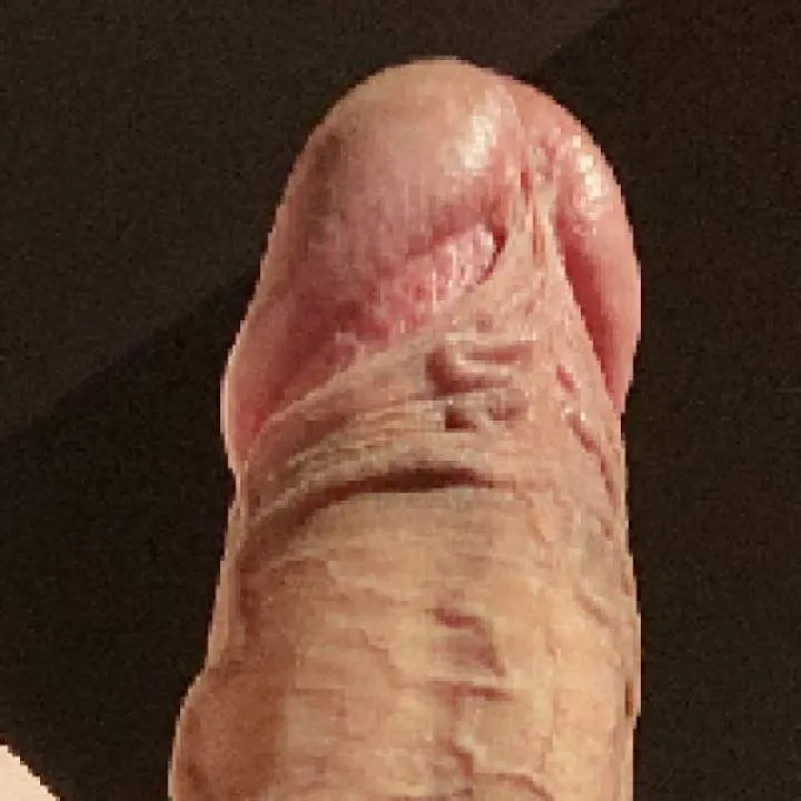 Viit Photo On Jungo Live