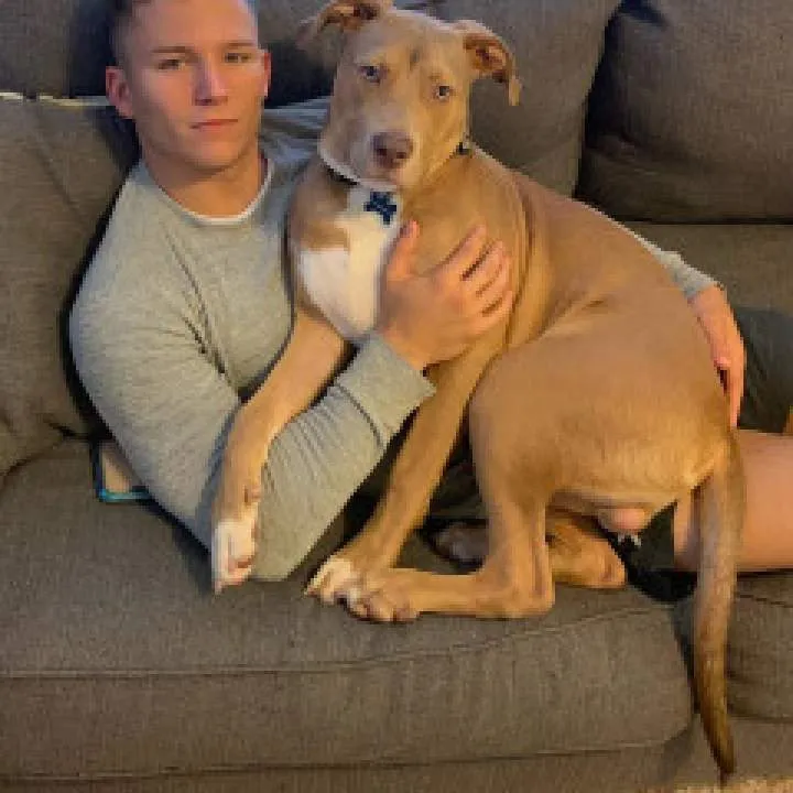 Manscot92 Photo On Jungo Live