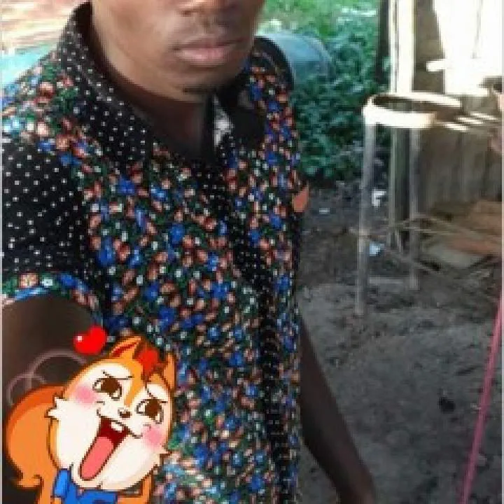 Ziggy Photo On Jungo Live