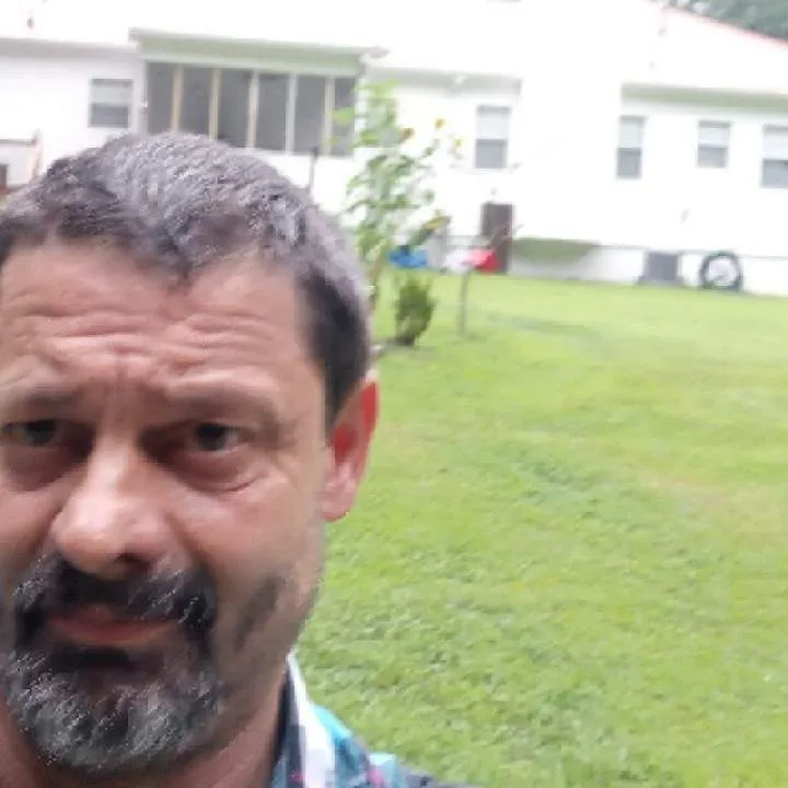 Bowhead Photo On Jungo Live