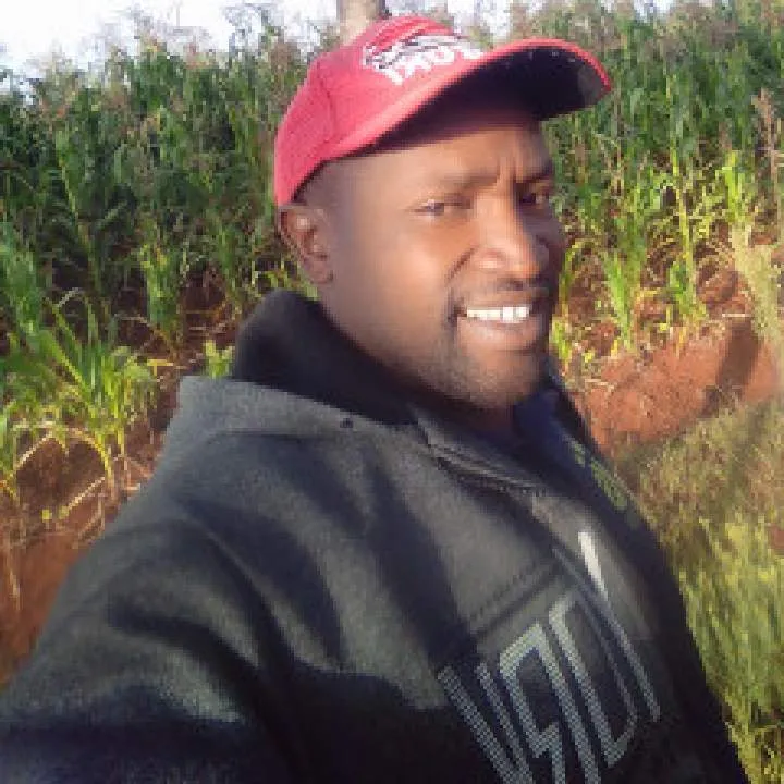 Thinker Photo On Jungo Live