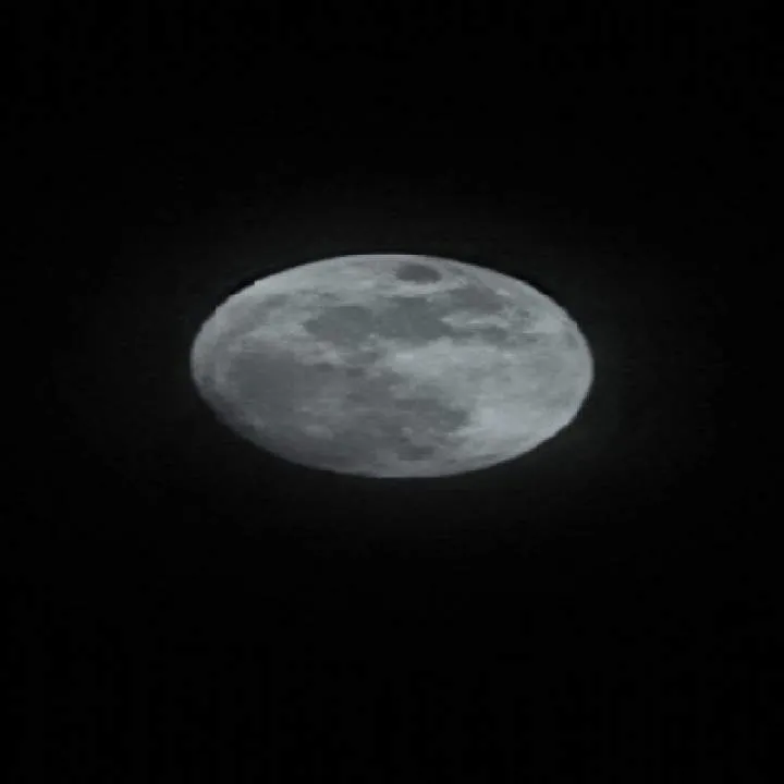 Nick........ Photo On Jungo Live