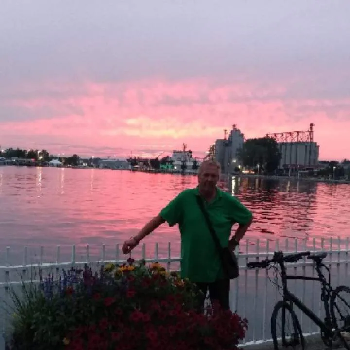 Longhorn Photo On Jungo Live