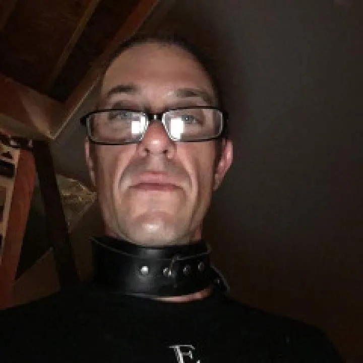 Moneypigglet Photo On Jungo Live