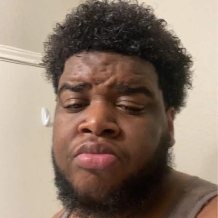 Ant Photo On Jungo Live