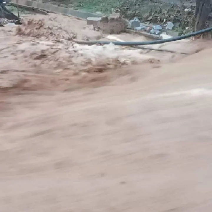 Lan Photo On Jungo Live