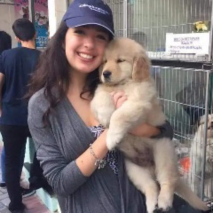 Guest Photo On Jungo Live