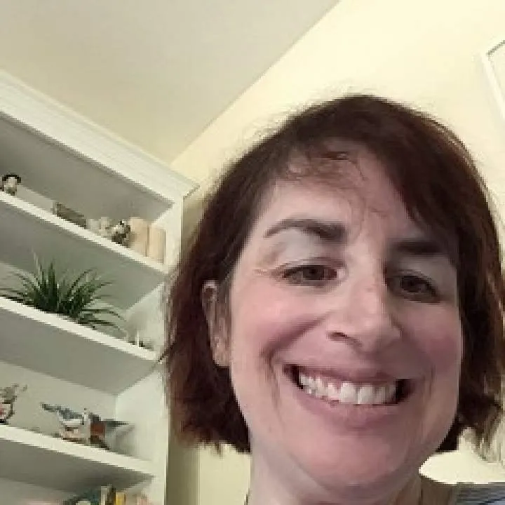 Red Rose Photo On Jungo Live