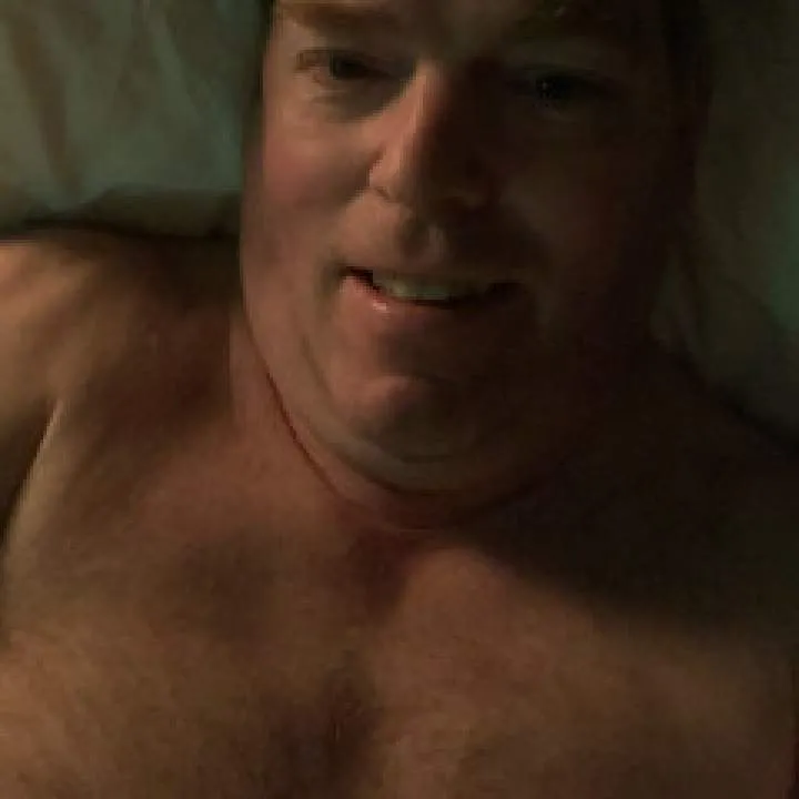 Rooster Photo On Jungo Live