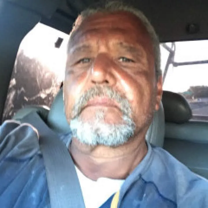 Kittylickr Photo On Jungo Live