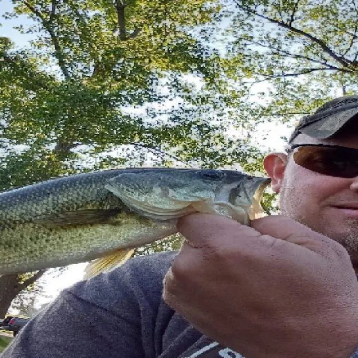 Tenderlover7 Photo On Jungo Live