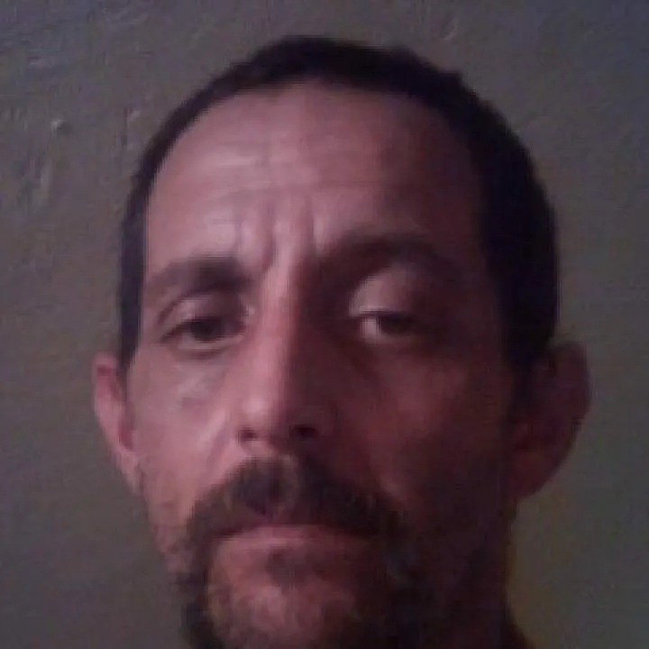 Gizmo Photo On Jungo Live