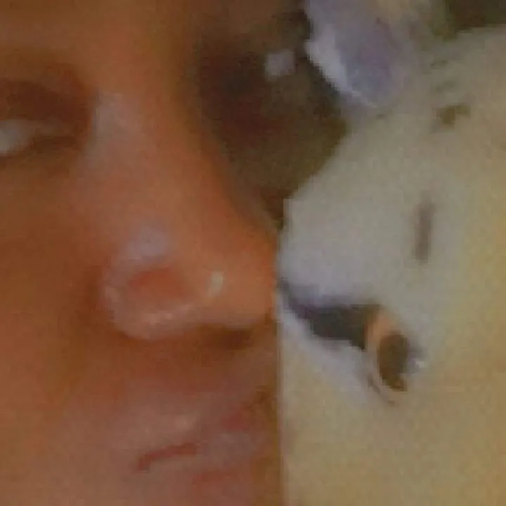 Precious Photo On Jungo Live