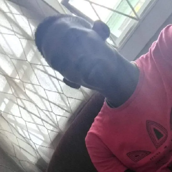 Damon Photo On Jungo Live