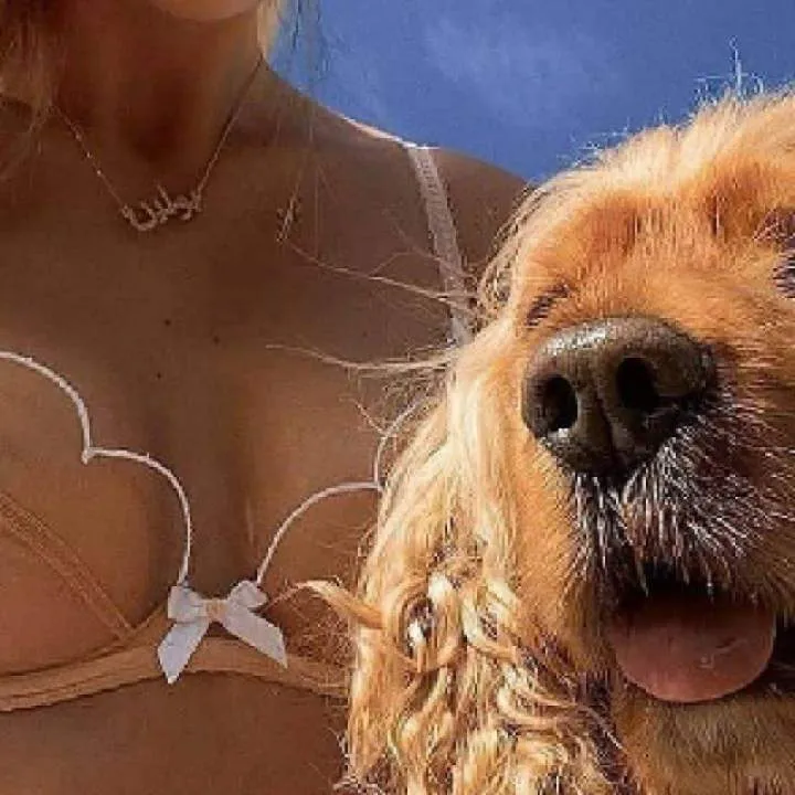 Jimmy Photo On Jungo Live