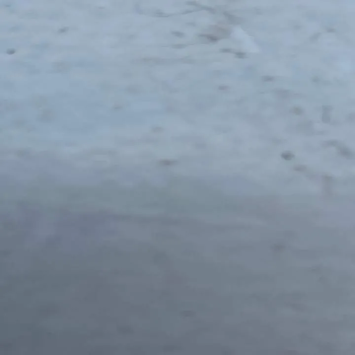 Anteplimert Photo On Jungo Live