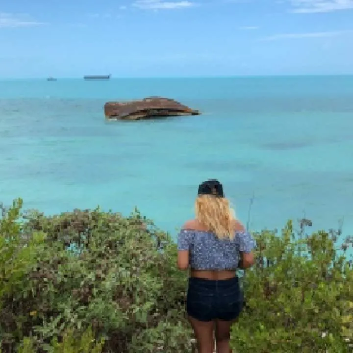 Novato........ Photo On Jungo Live