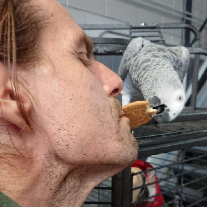 Arni... Photo On Jungo Live