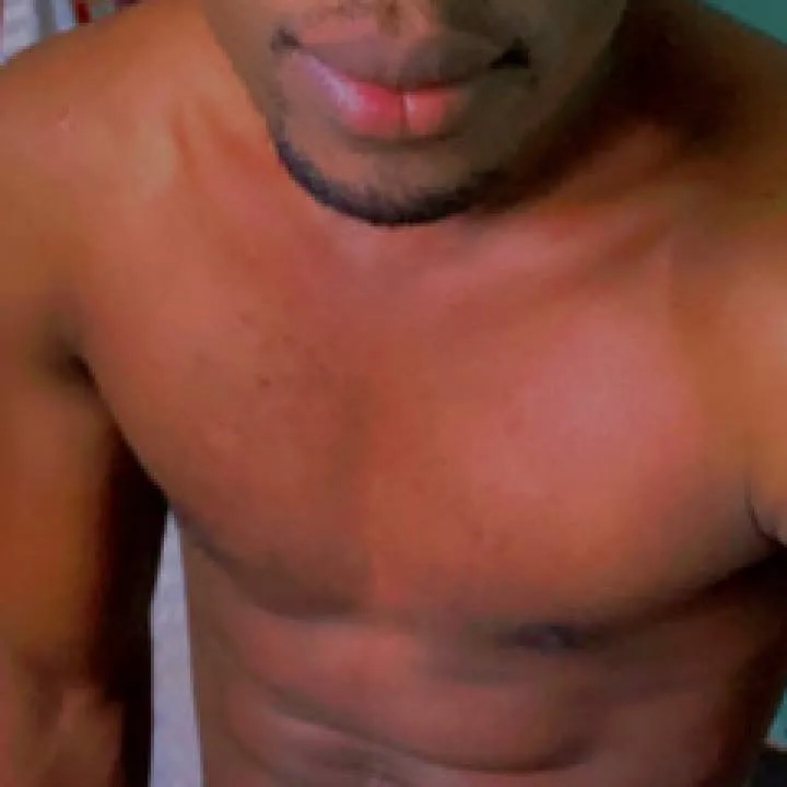 Jamaicanbull Photo On Jungo Live