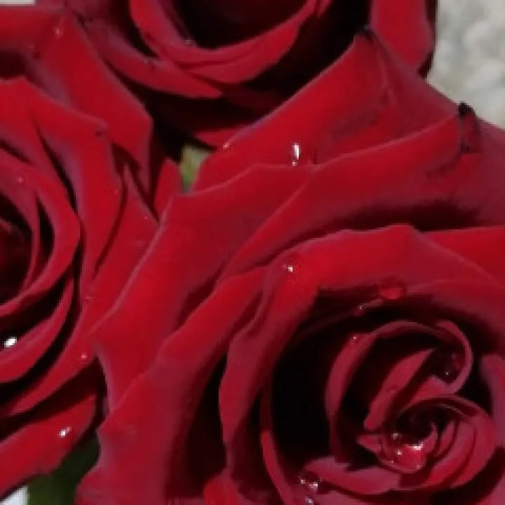 Jordan Photo On Jungo Live