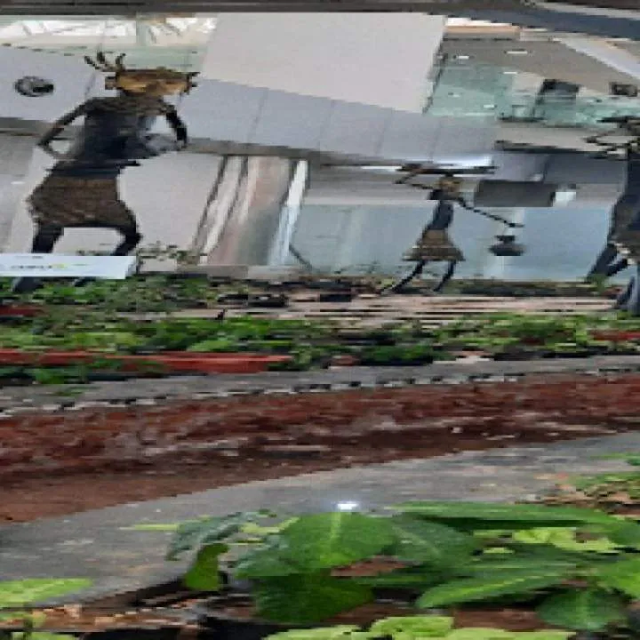 Abhi Photo On Jungo Live