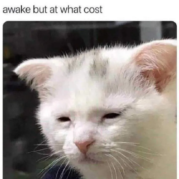 Zim98 Photo On Jungo Live