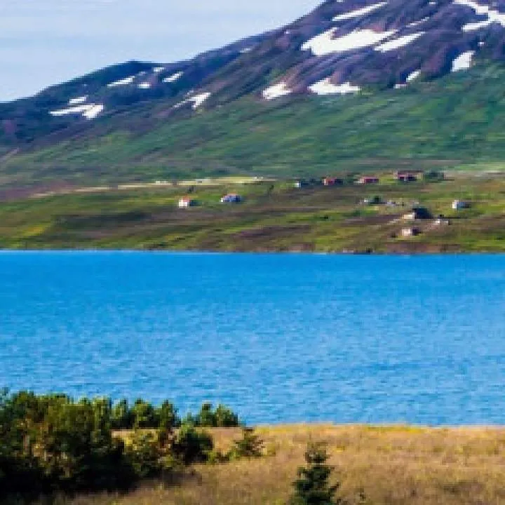 Egyption++ Photo On Jungo Live