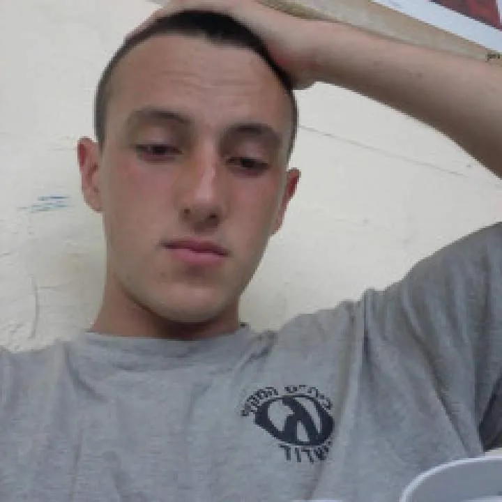 Omri.... Photo On Jungo Live