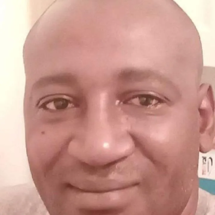 Shark Photo On Jungo Live