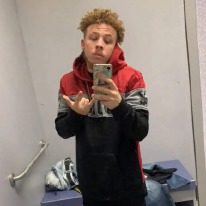 Ant_snow Photo On Jungo Live