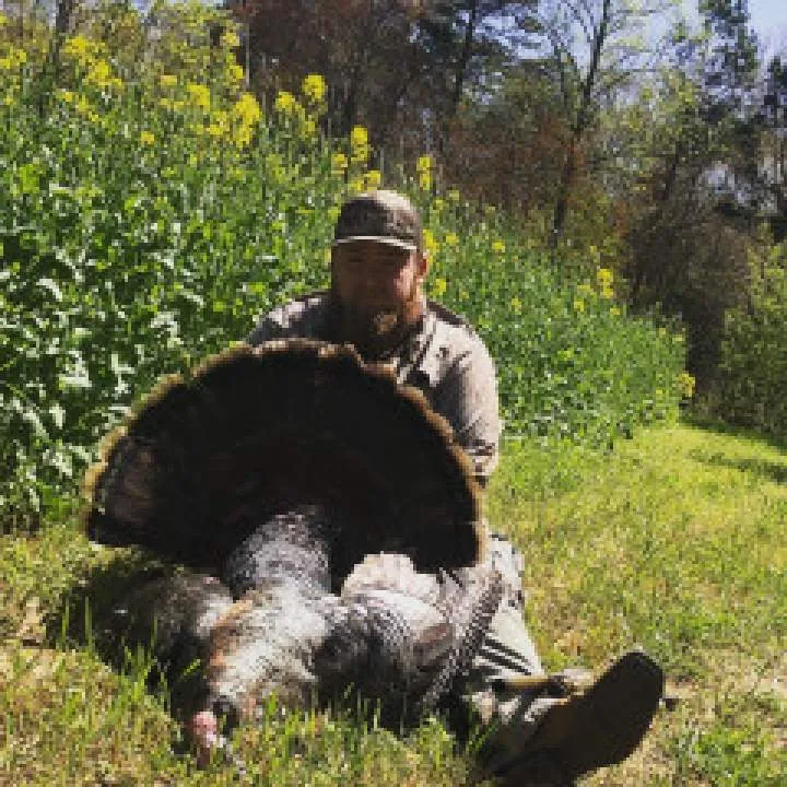 Vi Photo On Jungo Live