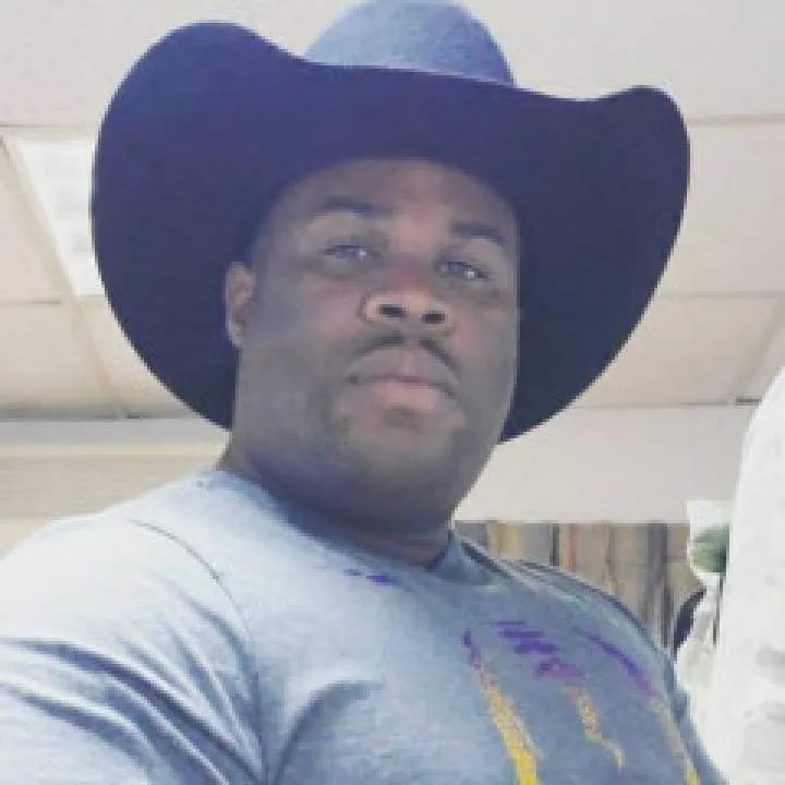 Rice Photo On Jungo Live