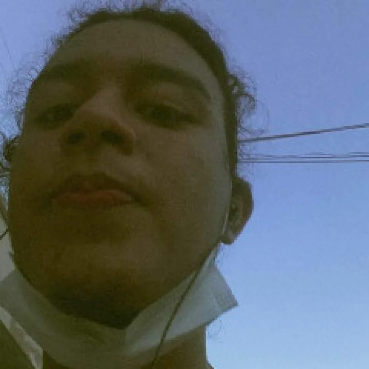 Brasilnovinho Photo On Jungo Live