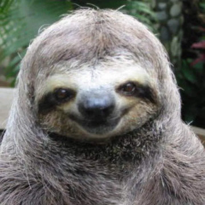 Matt86 Photo On Jungo Live