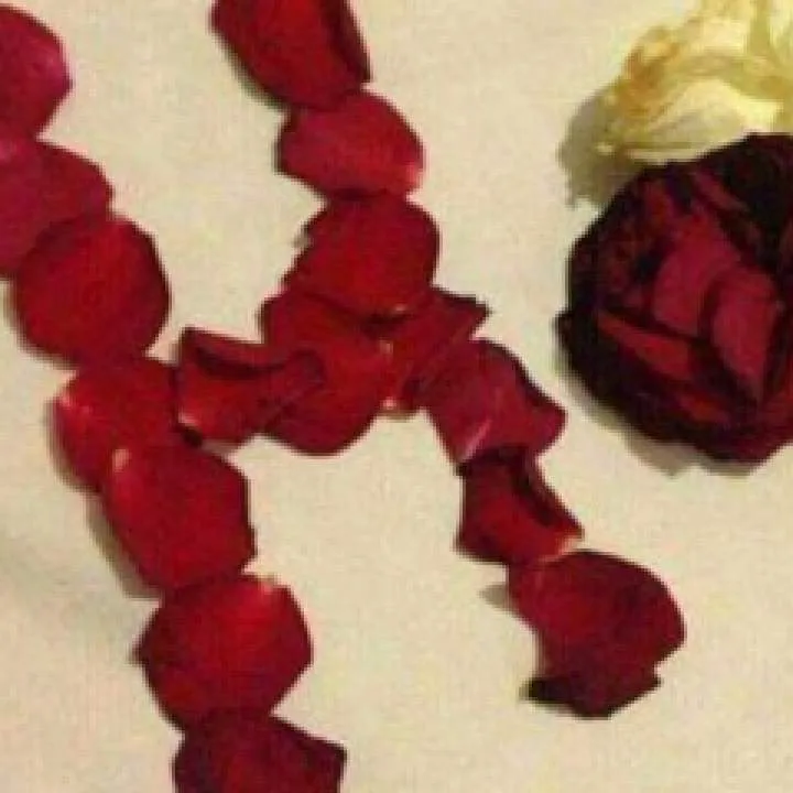 Hocin Photo On Jungo Live