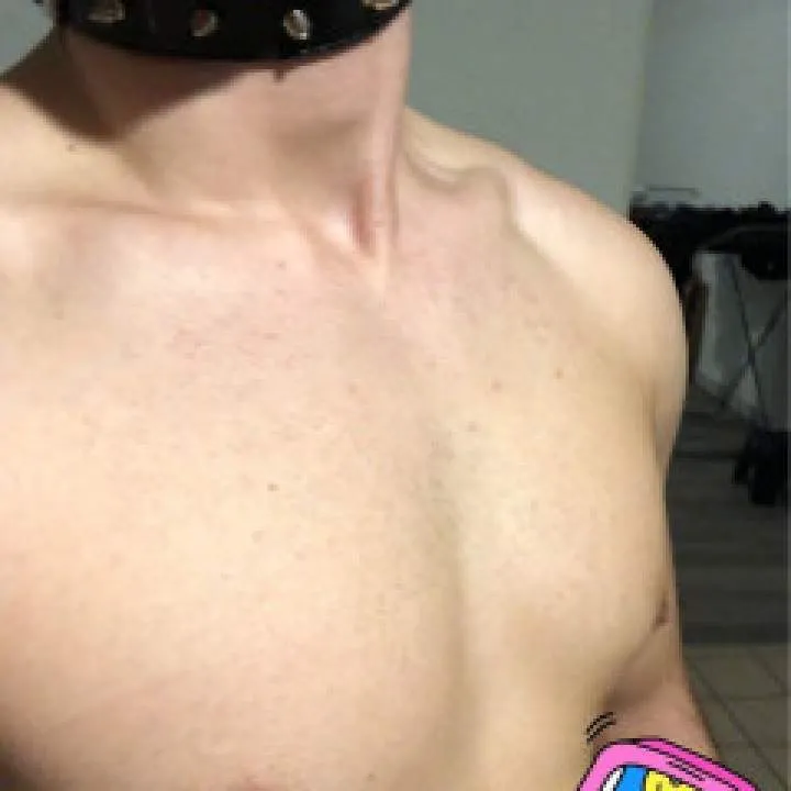 Rex........ Photo On Jungo Live