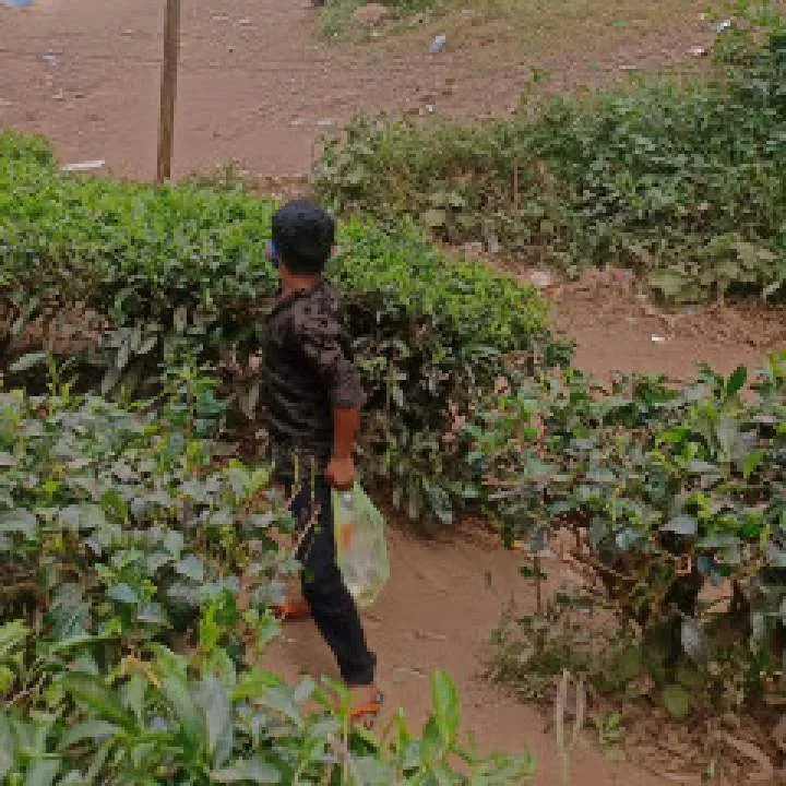 Hameed Photo On Jungo Live