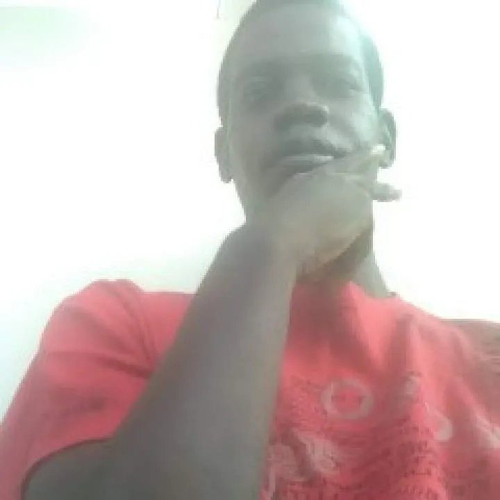 The Great Ish Photo On Jungo Live